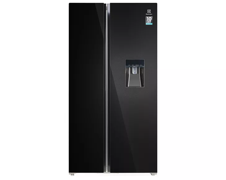 Tủ lạnh Electrolux Inverter 619 lít ESE6645A-BVN
