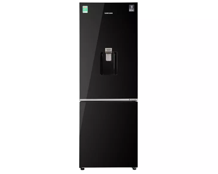 Tủ lạnh Samsung Inverter 307 lít RB30N4190BU/SV
